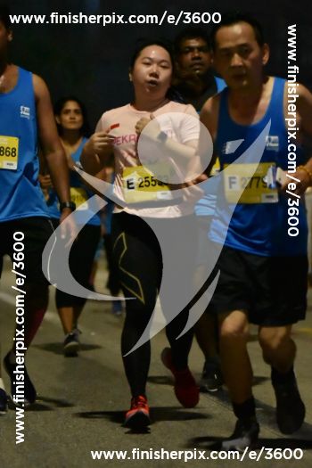 3600_399494 | Run