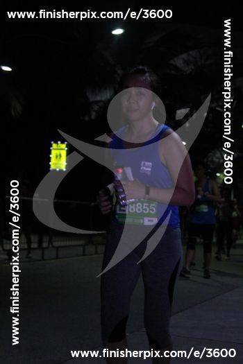 3600_433616 | Run