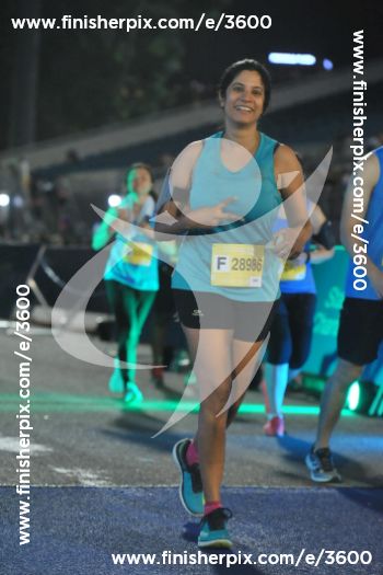 3600_455768 | Run