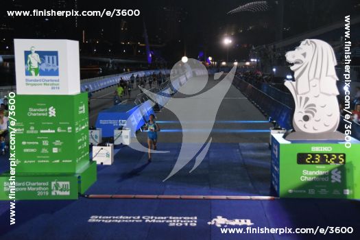 3600_480062 | Run