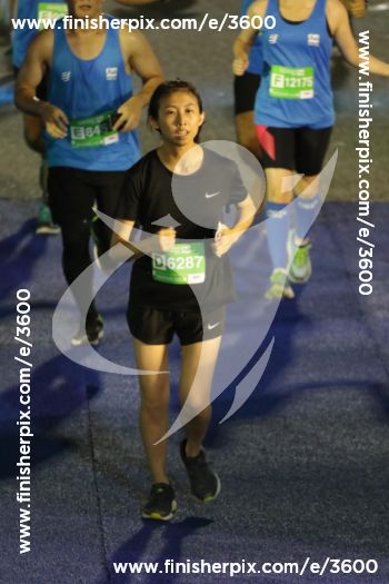 3600_502795 | Run