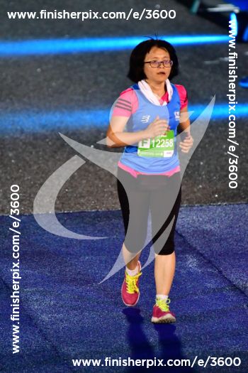 3600_527509 | Run