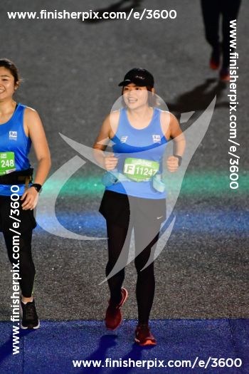 3600_528303 | Run