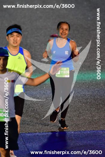 3600_552632 | Run