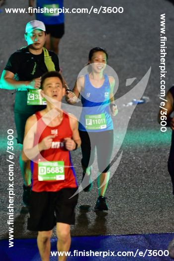 3600_557310 | Run