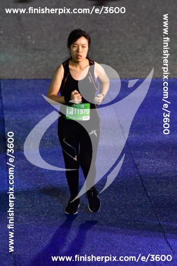 3600_559634 | Run