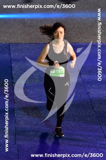 3600_559636 | Run
