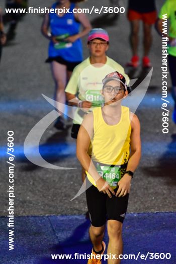 3600_564331 | Run