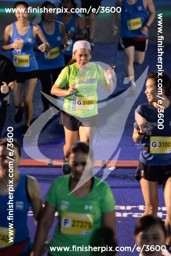 3600_572346 | Run