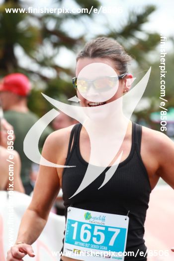 8506_031142 | Run